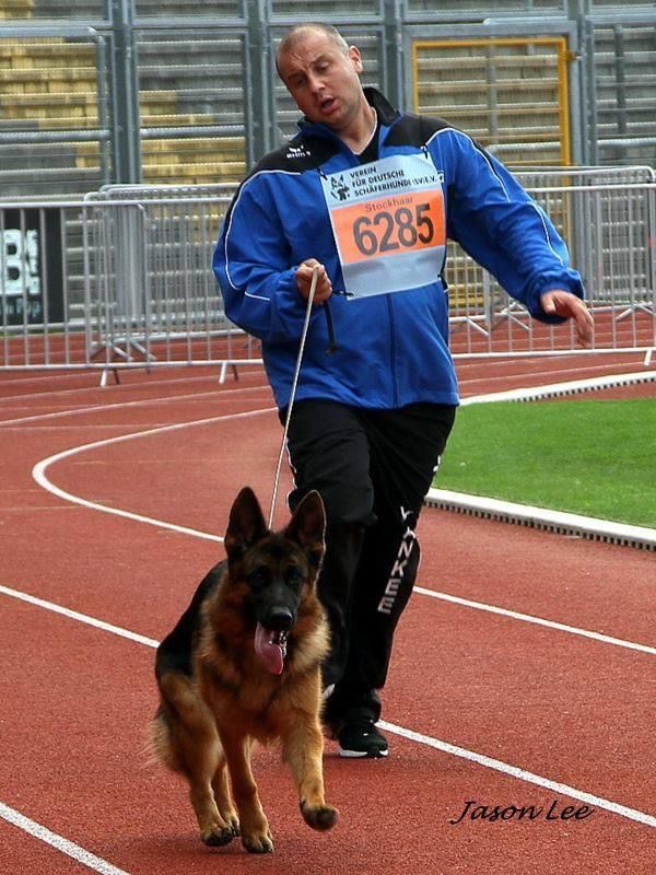 Goran Pesic Feetback